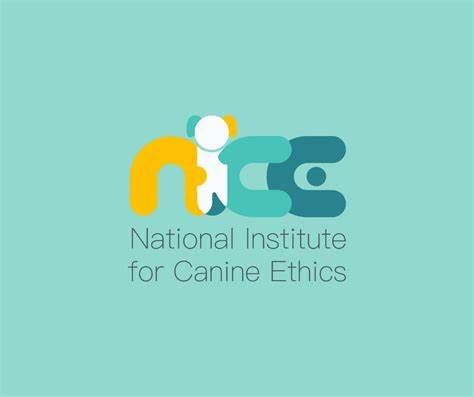 NICE logo